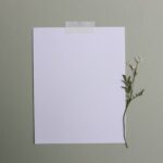 Dijital Baskı Renk Doğruluğu: Baskı Malzemeleri ve Kaplama Seçimi