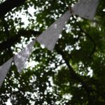 Baskı Malzemeleriyle Kartvizit Tasarımı: Kaliteyi Korumak İçin Aşamalı Rehber