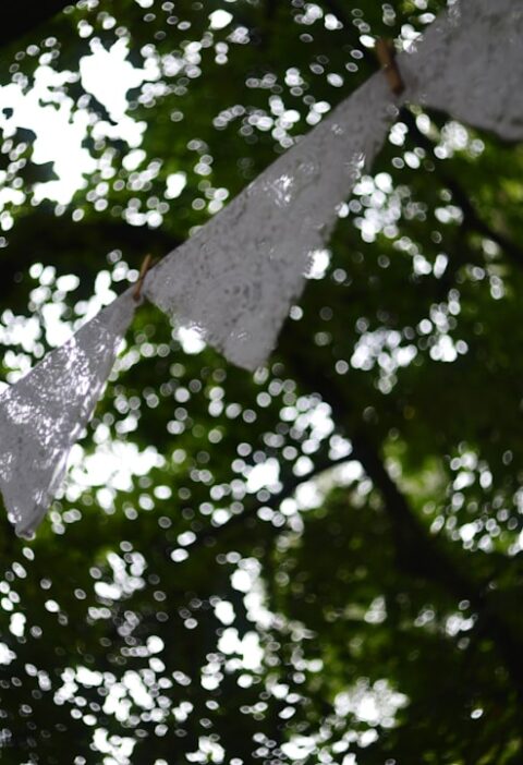 Dijital Baskı Malzemeleri için Karar Ağacı