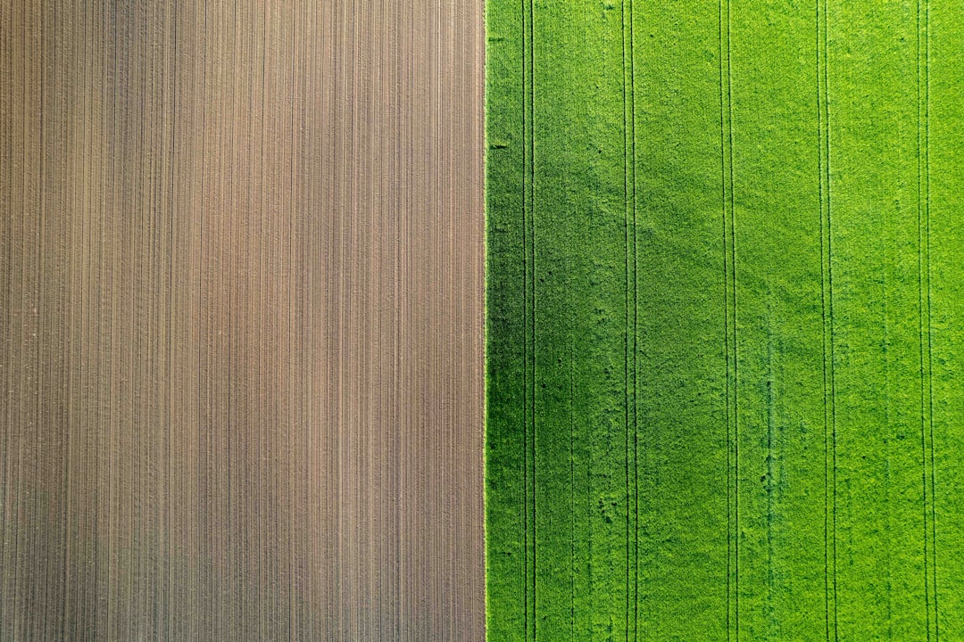 Bitkisel kaplama ve plastik kaplama karşılaştırması görseli