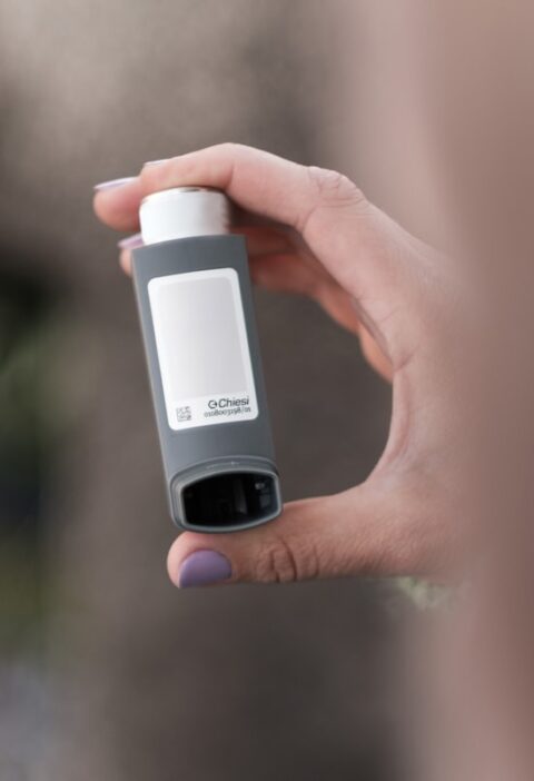 Dijital Baskı Ambalaj Kaplama: Biyobozunur Seçenekler