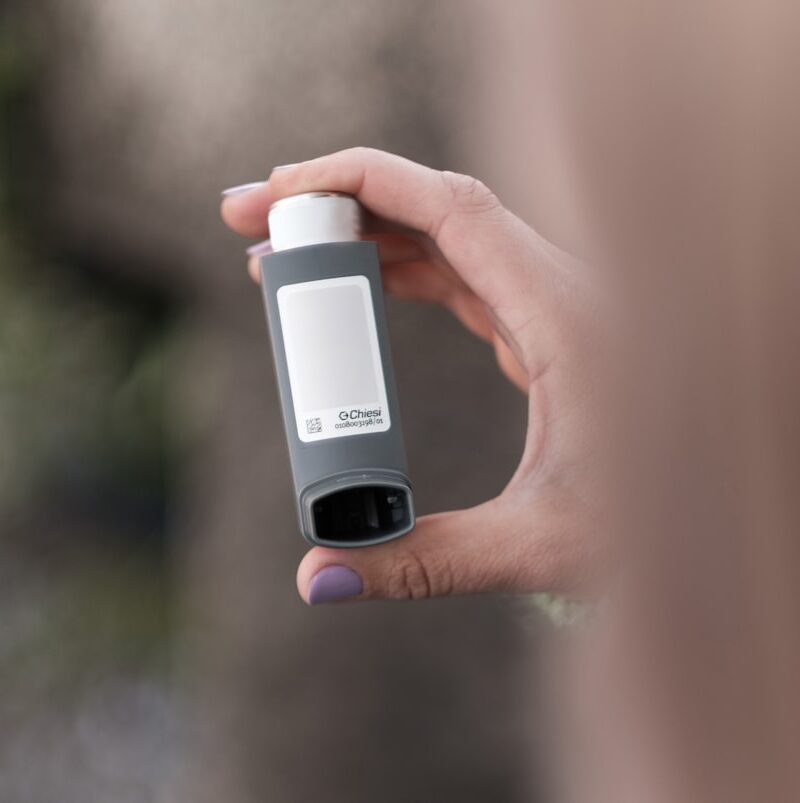 Dijital Baskı Ambalaj Kaplama: Biyobozunur Seçenekler