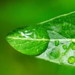 Baskı Malzemeleri Seçimi: Dijital Baskı İçin Fiyat Rehberi