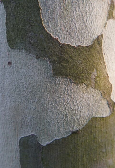 Dijital Baskı Renk Uyumuyla Kartvizit ve Ambalaj