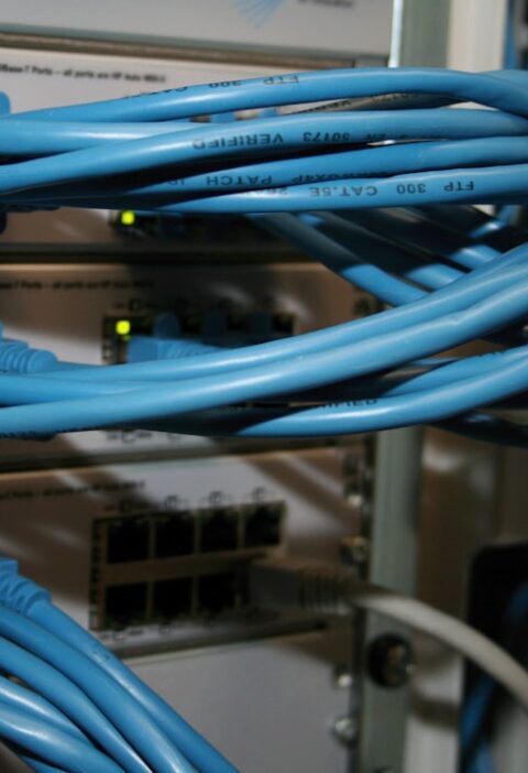 Dijital Baskı Kartvizit ve Ambalaj Malzemeleri: Yerel Tedarik Stratejileri