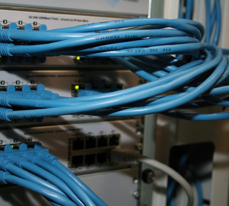 Dijital Baskı Kartvizit ve Ambalaj Malzemeleri: Yerel Tedarik Stratejileri